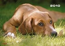 Dogs 2010 Oversized Calendar X302