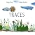 Traces