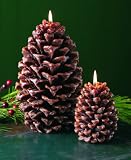 Set of 2 Pine Cone Candles