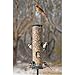 Aspects 421 Spruce Quick Clean Big Tube Feeder, Large, Green