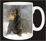 DACHSHUND in SNOW Coffee Mug  from Advanta
