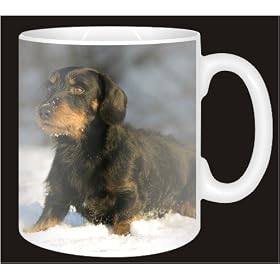 DACHSHUND in SNOW Coffee Mug