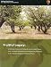 Fruitful Legacy: A Historic Context of Orchards in the United States, With Technical Information for Registering Orchards in the National Register of Historic Places Fruitful Legacy: A Historic Context of Orchards in the United States, With Technical Information for Registering Orchards in the National Register of Historic Places