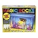 Magic Rocks: Pirate Treasure Chest