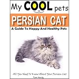 My Cool Pets: Persian Cat - All You Need To Know About Persian Cats