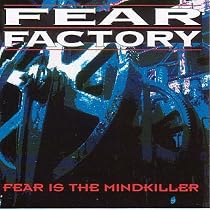Fear Is the Mindkiller