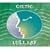 The Celtic Lullaby