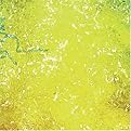 Filler Grass - Yellow (5 lbs.)