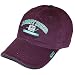 Anaheim Ducks Zephyr Team Color Chopper Cap