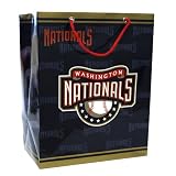 MLB Washington Nationals Gift Bag, Medium