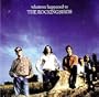 Whatever Happened to the Rockingbirds