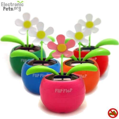 Solar Powered Dancing Flower Plant - 1 Supplied