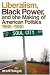 Liberalism, Black Power, and the Making of American Politics, 1965-1980 (Politics and Culture in the Twentieth-Century South)