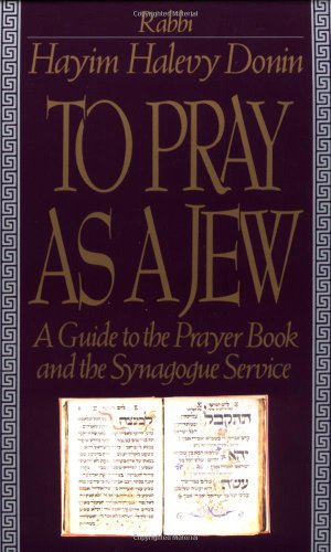to pray as a jew a guide to the prayer book and the synagogue service