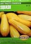 Squash Early Prolific Crookneck Seeds 45 Seeds
