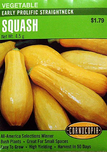 Squash Early Prolific Straightneck Seeds 45 Seeds