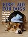 First Aid for Dogs: What to do before you take your dog to the Vet (Pet Care)