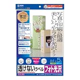 SANWA SUPPLY 下地が透けないフォト光沢ラベル 5枚 LB-EJK03