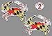 Maryland Flag Blue Crab Decal Sticker 5