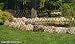 13x3'3 Willow Fencing