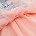 YOMIYOKA Baby Girl Dress 1 - 4 Years Flower Wedding Princess Bowknot Party Dresses