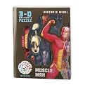Human Muscle and Skeleton Model