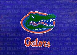 Florida Painting - Florida Logo