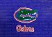 Florida Painting - Florida Logo