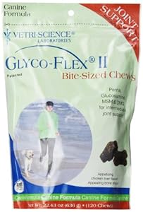 Glyco-Flex II Soft-Chews for Dogs, 120-Count
