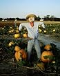 Scarecrow Photograph - Beautiful 16"x20" Photographic Print by Carol M. Highsmith