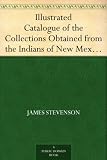 Illustrated Catalogue of the Collections Obtained from the Indians of New Mexico in 1880 Second Annual Report of the Bureau of Ethnology to the Secretary ... Office, Washington, 1883, pages 429-466