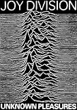 Joy Division (Unknown Pleasures) Music Poster Print - 24