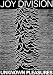 Joy Division punk Poster Unknown Pleasures Ian Curtis - 24