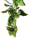 Exo Terra Plastic Terrarium Plant, Large, Amapallo