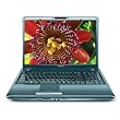 Toshiba Satellite M305-S4826 14.1-inch Laptop (2.1 GHz Intel Core 2 Duo T8100 Processor, 3 GB RAM, 250 GB Hard Drive, DVD Drive, Vista Premium) Toshiba Satellite M305-S4826 14.1-inch Laptop (2.1 GHz Intel Core 2 Duo T8100 Processor, 3 GB RAM, 250 GB Hard Drive, DVD Drive, Vista Premium)