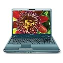 Toshiba
                                    Satellite M305-S4826 14.1" Laptop (2.1 GHz Intel Core 2 Duo T8100 Processor, 3 GB RAM, 250 GB Hard Drive, DVD Drive, Vista
                                    Premium)