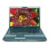 Toshiba Satellite M305-S4826 14.1-inch Laptop (2.1 GHz Intel Core 2 Duo T8100 Processor, 3 GB RAM, 250 GB Hard Drive, DVD Drive, Vista Premium)