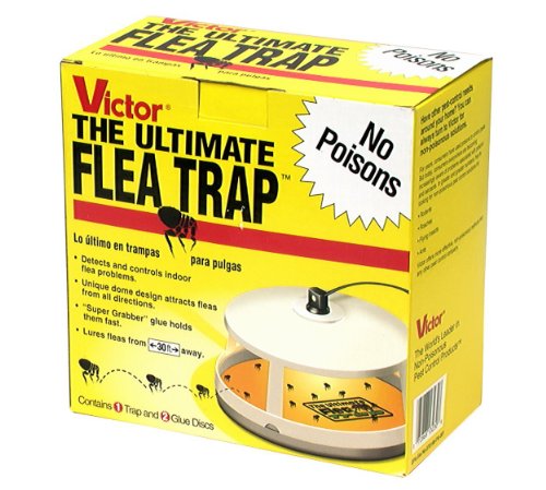 Victor M230 Ultimate Flea Trap-New Super Size Package 4 Count Victor M230 Ultimate Flea Trap-New Super Size Package 4 Count