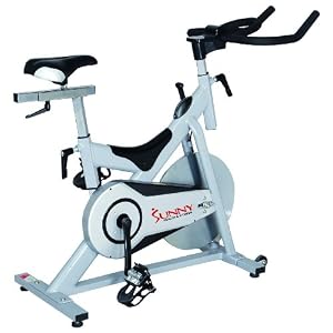 Sunny Magnetic Indoor Cycling Bike