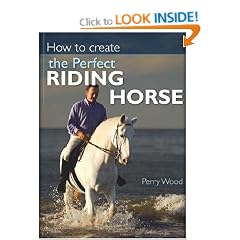 How to Create the Perfect Riding Horse