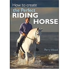 How to Create the Perfect Riding Horse