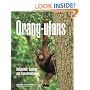 Orang-utans: Behaviour, Ecology and Conservation