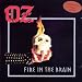 Fire in the Brain