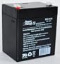 12 Volt 5 Ah Alarm Battery (12v5ah , 12 V 5 Amp Hour , 12v 5ah)