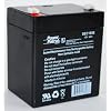 12 Volt 5 Ah Alarm Battery (12v5ah , 12 V 5 Amp Hour , 12v 5ah)
