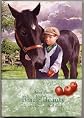 BLACK BEAUTY by Anna Sewell, illustrated by Neil Reed (2001 Hardcover BORDERS PRESS)