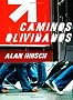 Caminos Olvidados: Reactivemos La Iglesia Misional