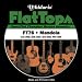 Search: D'Addario Mandola-Flat Tops Phosphor Bronze, .016 - .053, FT76