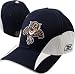 Florida Panthers Platinum Practice Flex Hat