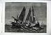 1861 Foreland Fight Prince Arthur Fishing Ramsgate Fish
